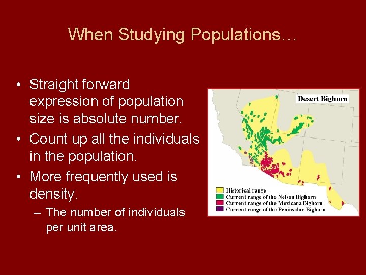When Studying Populations… • Straight forward expression of population size is absolute number. • When Studying Populations… • Straight forward expression of population size is absolute number. •