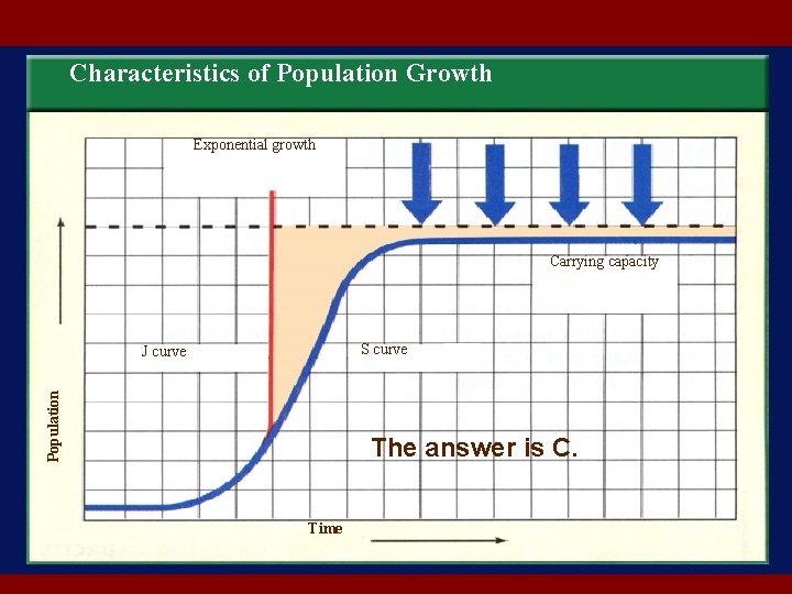  Self Check Characteristics of Population Growth Exponential growth Which of the following would