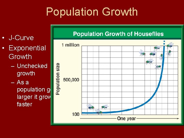 Population Growth • J-Curve • Exponential Growth – Unchecked growth – As a population