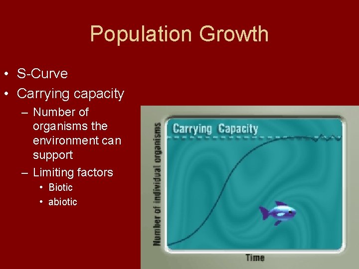 Population Growth • S-Curve • Carrying capacity – Number of organisms the environment can