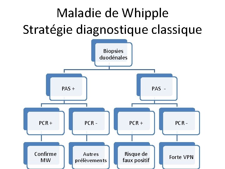 Maladie de Whipple Stratégie diagnostique classique Biopsies duodénales PAS + PAS - PCR +