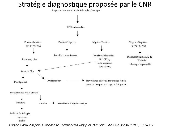 Stratégie diagnostique proposée par le CNR Lagier. From Whipple’s disease to Tropheryma whipplei infections