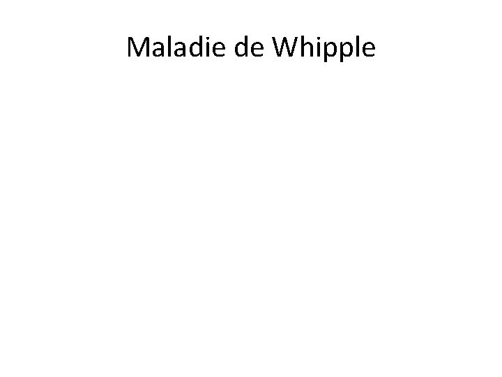 Maladie de Whipple 