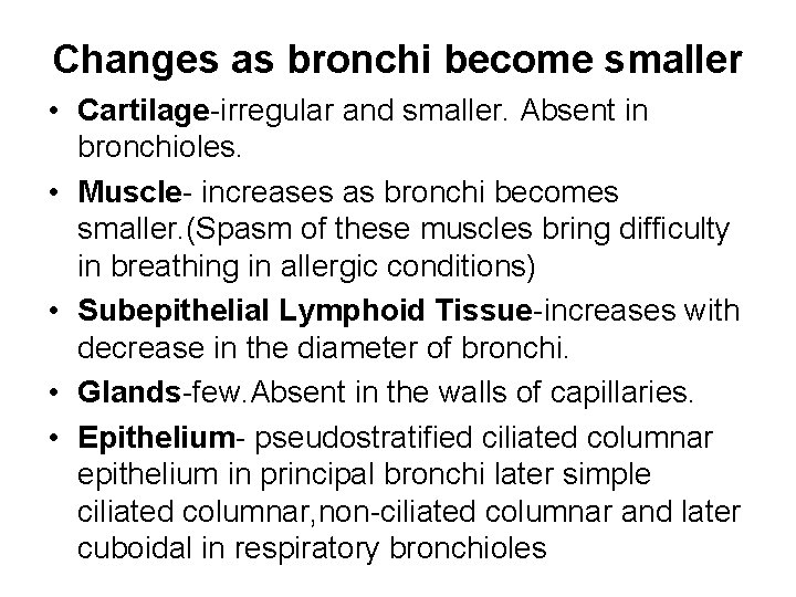 Changes as bronchi become smaller • Cartilage-irregular and smaller. Absent in bronchioles. • Muscle- Changes as bronchi become smaller • Cartilage-irregular and smaller. Absent in bronchioles. • Muscle-