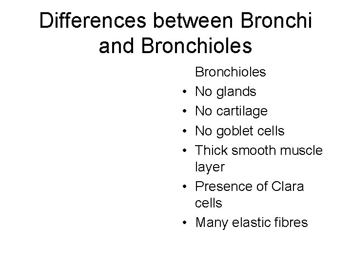 Differences between Bronchi and Bronchioles • • • Bronchioles No glands No cartilage No Differences between Bronchi and Bronchioles • • • Bronchioles No glands No cartilage No