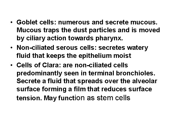 • Goblet cells: numerous and secrete mucous. Mucous traps the dust particles and • Goblet cells: numerous and secrete mucous. Mucous traps the dust particles and