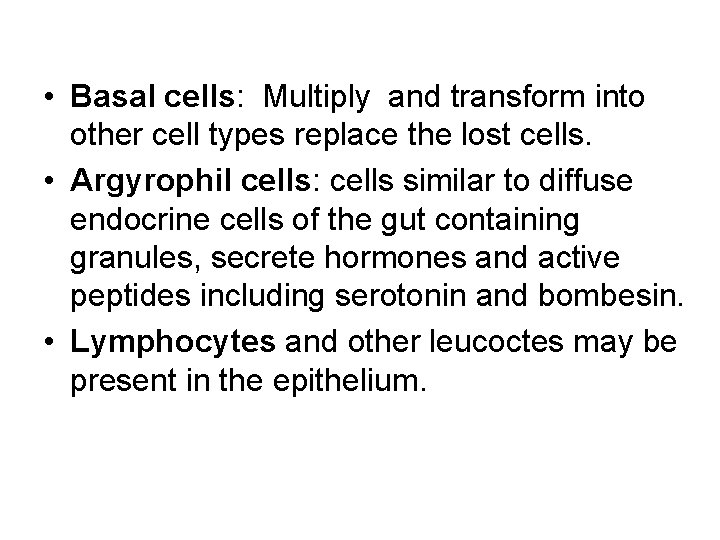 • Basal cells: Multiply and transform into other cell types replace the lost • Basal cells: Multiply and transform into other cell types replace the lost
