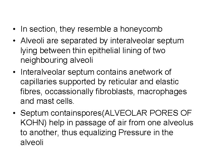 • In section, they resemble a honeycomb • Alveoli are separated by interalveolar • In section, they resemble a honeycomb • Alveoli are separated by interalveolar