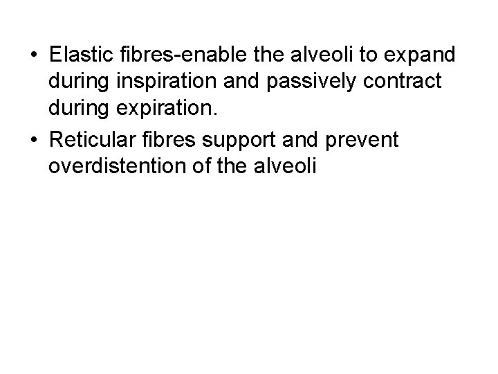 • Elastic fibres-enable the alveoli to expand during inspiration and passively contract during • Elastic fibres-enable the alveoli to expand during inspiration and passively contract during