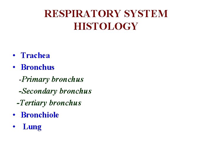 RESPIRATORY SYSTEM HISTOLOGY • Trachea • Bronchus -Primary bronchus -Secondary bronchus -Tertiary bronchus • RESPIRATORY SYSTEM HISTOLOGY • Trachea • Bronchus -Primary bronchus -Secondary bronchus -Tertiary bronchus •