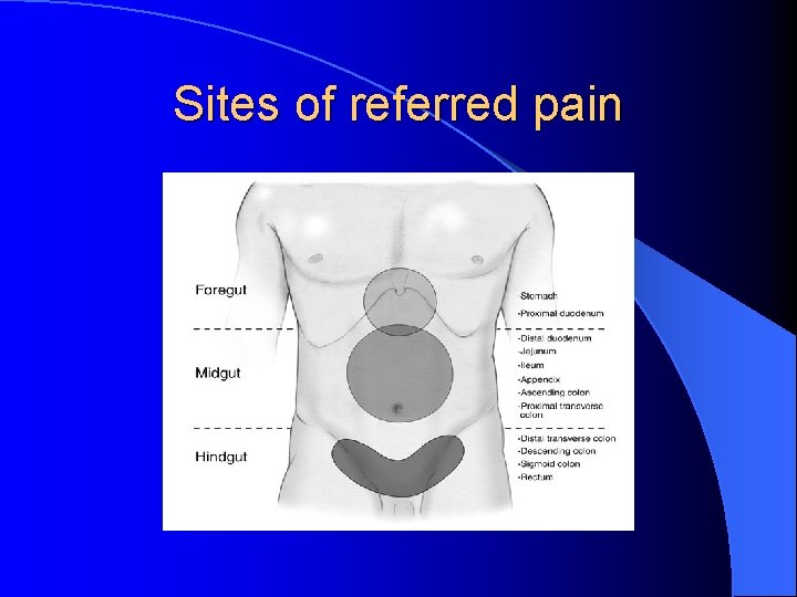 Sites of referred pain 