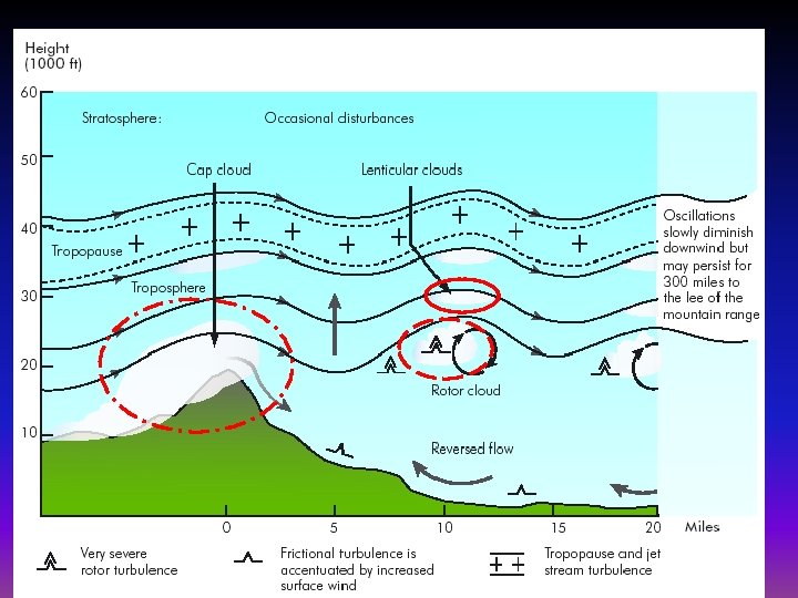 Standing Waves 