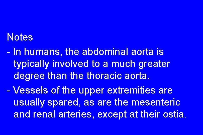 Notes - In humans, the abdominal aorta is typically involved to a much greater