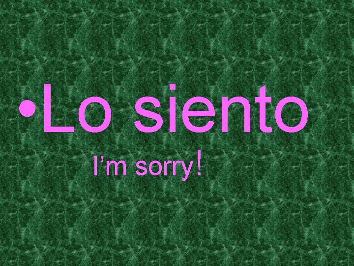  • Lo siento I’m sorry! 