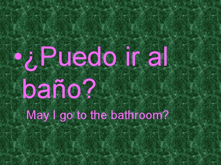  • ¿Puedo ir al baño? May I go to the bathroom? 