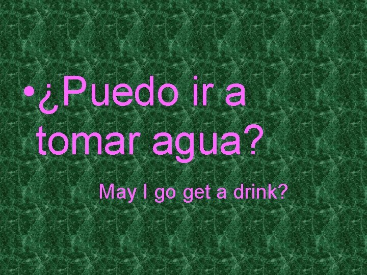  • ¿Puedo ir a tomar agua? May I go get a drink? 