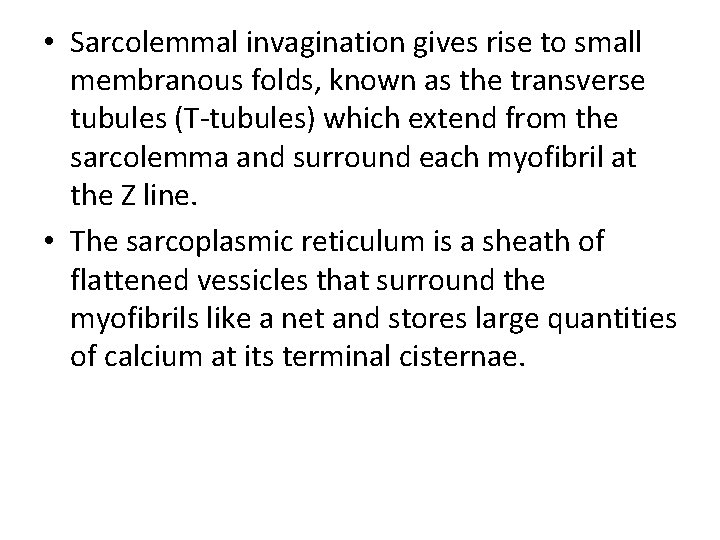  • Sarcolemmal invagination gives rise to small membranous folds, known as the transverse