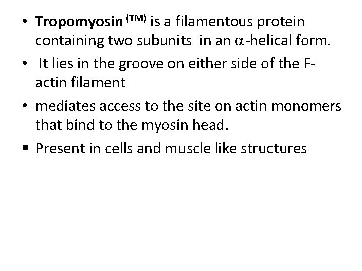  • Tropomyosin (TM) is a filamentous protein containing two subunits in an -helical