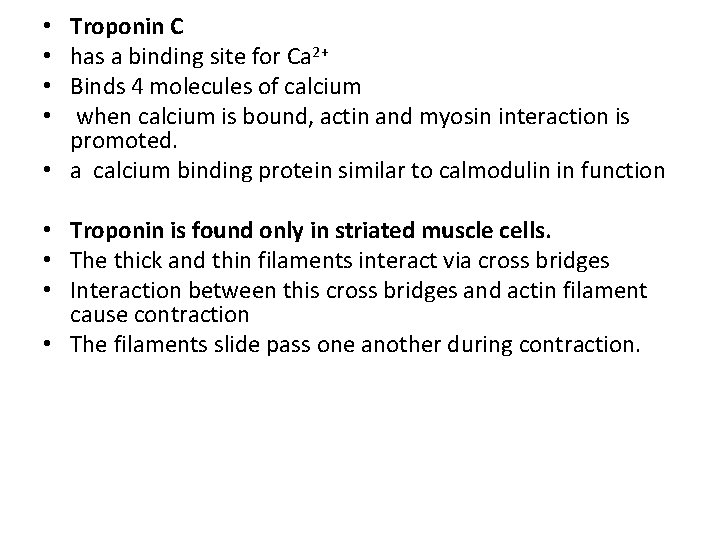 Troponin C has a binding site for Ca 2+ Binds 4 molecules of calcium