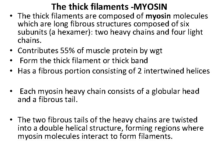 The thick filaments -MYOSIN • The thick filaments are composed of myosin molecules which