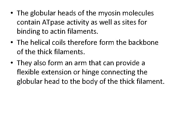  • The globular heads of the myosin molecules contain ATpase activity as well
