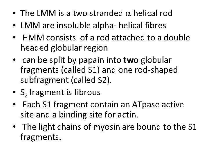 • The LMM is a two stranded helical rod • LMM are insoluble