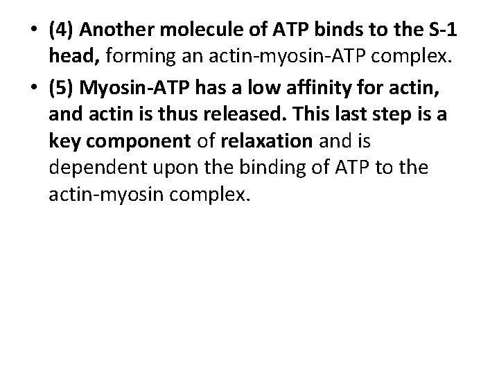  • (4) Another molecule of ATP binds to the S-1 head, forming an