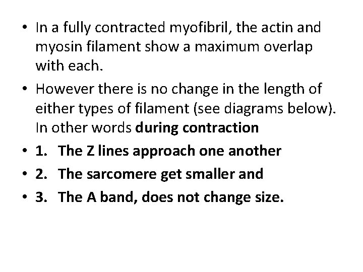  • In a fully contracted myofibril, the actin and myosin filament show a