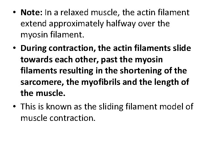  • Note: In a relaxed muscle, the actin filament extend approximately halfway over