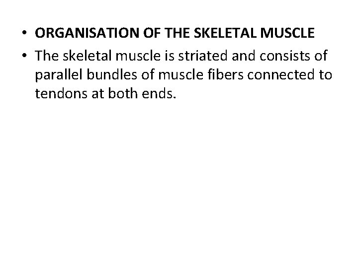  • ORGANISATION OF THE SKELETAL MUSCLE • The skeletal muscle is striated and