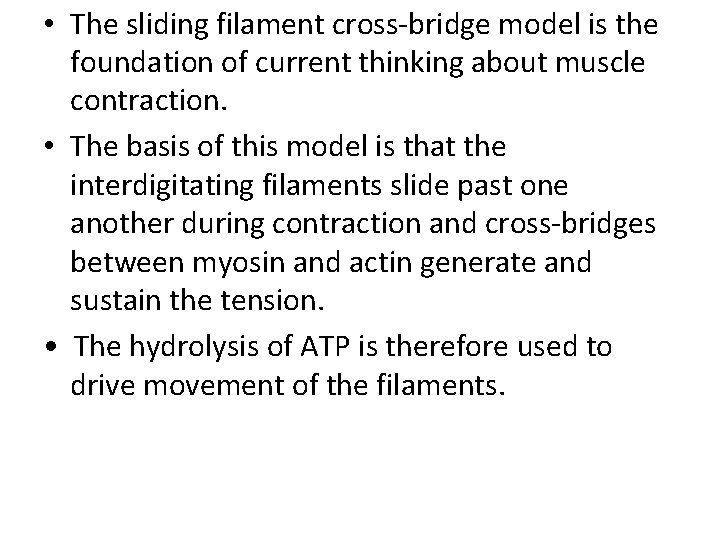  • The sliding filament cross-bridge model is the foundation of current thinking about