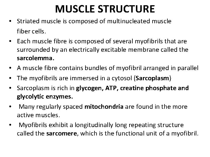 MUSCLE STRUCTURE • Striated muscle is composed of multinucleated muscle fiber cells. • Each