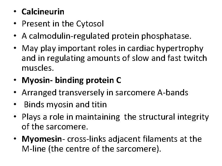  • • • Calcineurin Present in the Cytosol A calmodulin-regulated protein phosphatase. May
