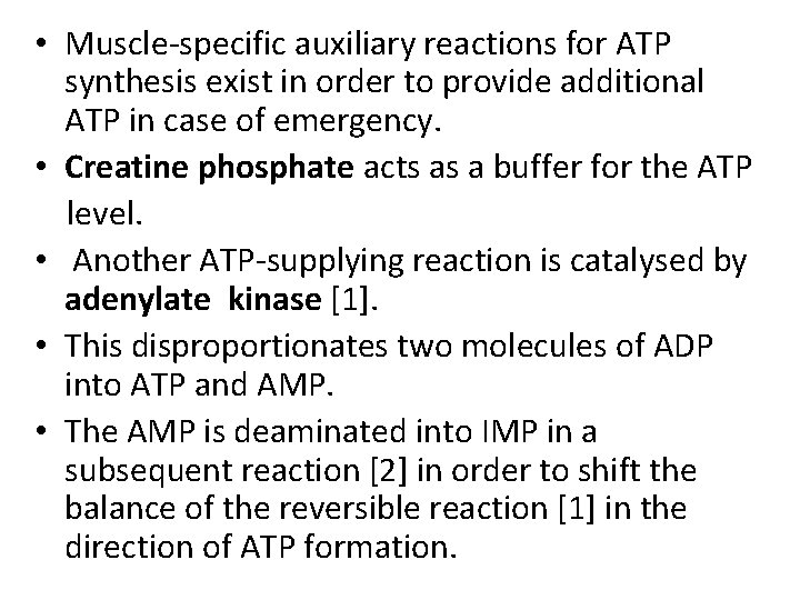  • Muscle-specific auxiliary reactions for ATP synthesis exist in order to provide additional
