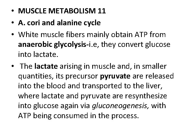  • MUSCLE METABOLISM 11 • A. cori and alanine cycle • White muscle