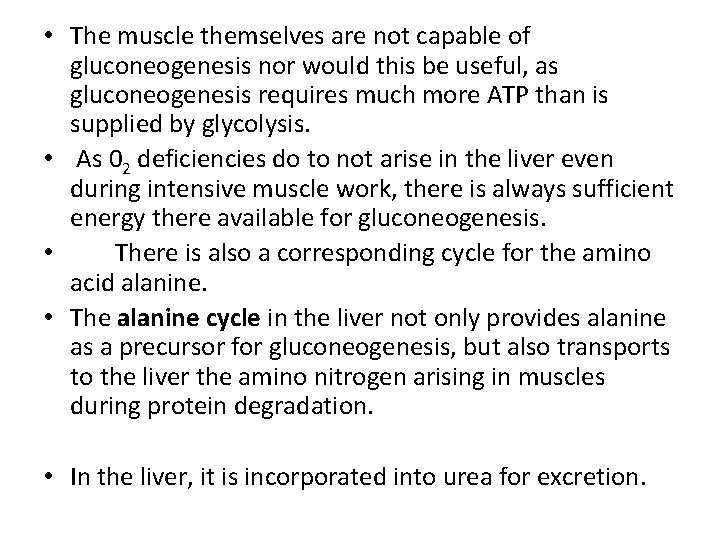  • The muscle themselves are not capable of gluconeogenesis nor would this be