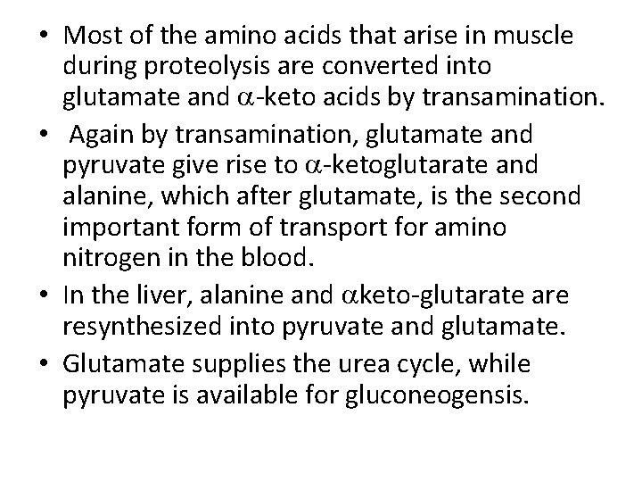  • Most of the amino acids that arise in muscle during proteolysis are