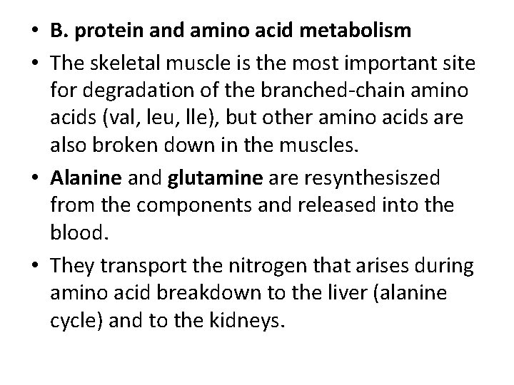  • B. protein and amino acid metabolism • The skeletal muscle is the