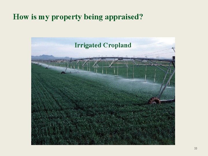 How is my property being appraised? Irrigated Cropland 33 