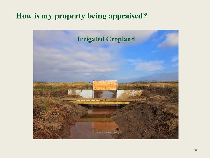 How is my property being appraised? Irrigated Cropland 34 