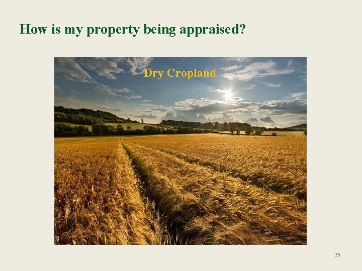 How is my property being appraised? Dry Cropland 35 