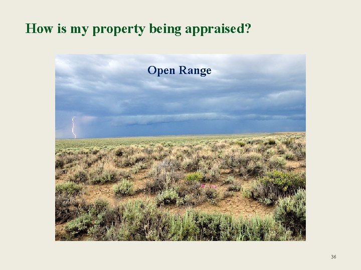 How is my property being appraised? Open Range 36 