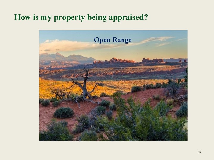 How is my property being appraised? Open Range 37 
