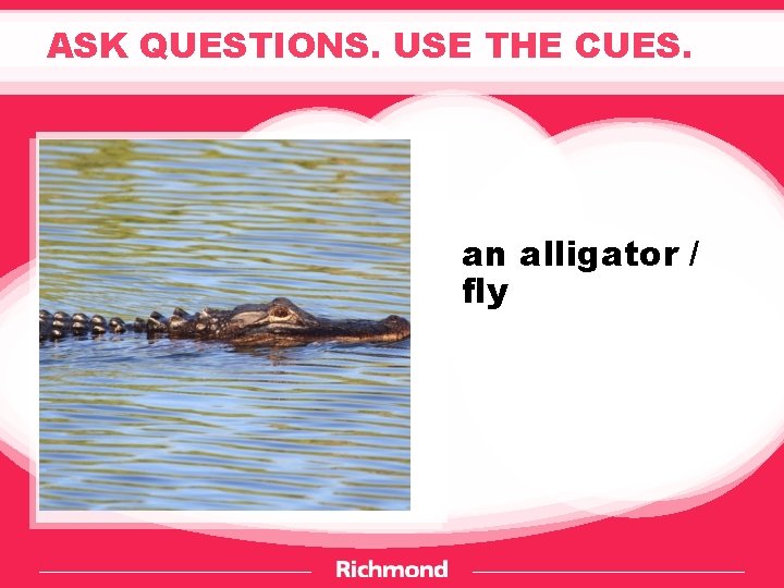 ASK QUESTIONS. USE THE CUES. an alligator / fly 