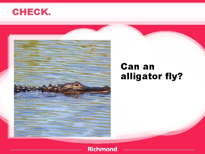 CHECK. Can an alligator fly? 