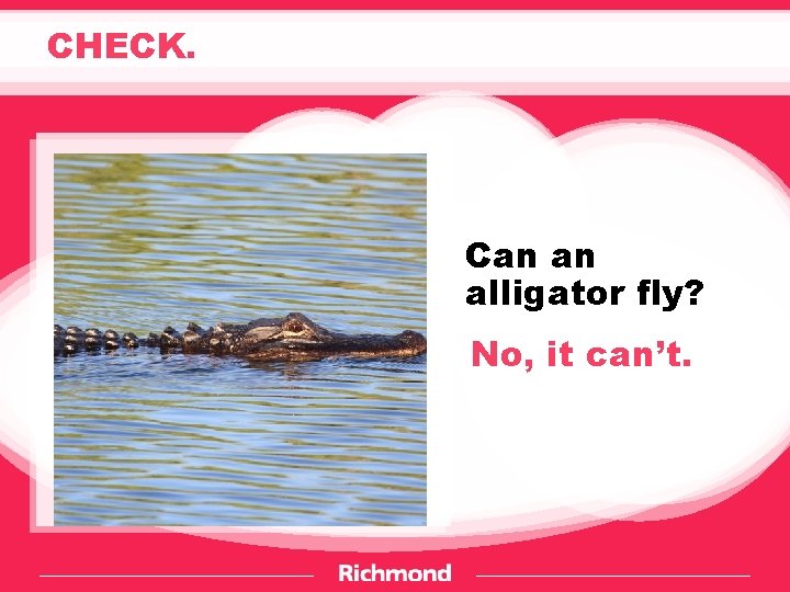 CHECK. Can an alligator fly? No, it can’t. 