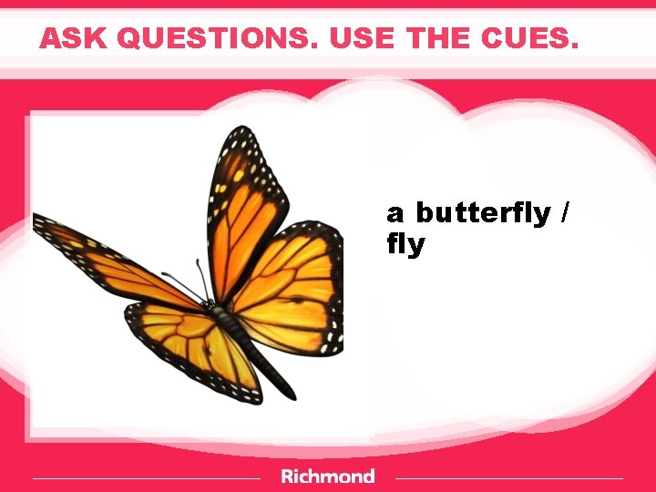 ASK QUESTIONS. USE THE CUES. a butterfly / fly 