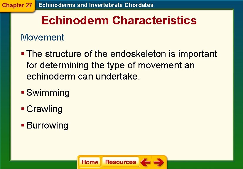 Chapter 27 Echinoderms and Invertebrate Chordates Echinoderm Characteristics Movement § The structure of the