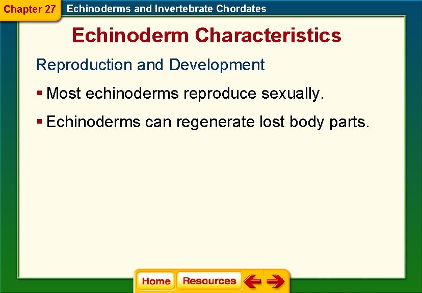 Chapter 27 Echinoderms and Invertebrate Chordates Echinoderm Characteristics Reproduction and Development § Most echinoderms