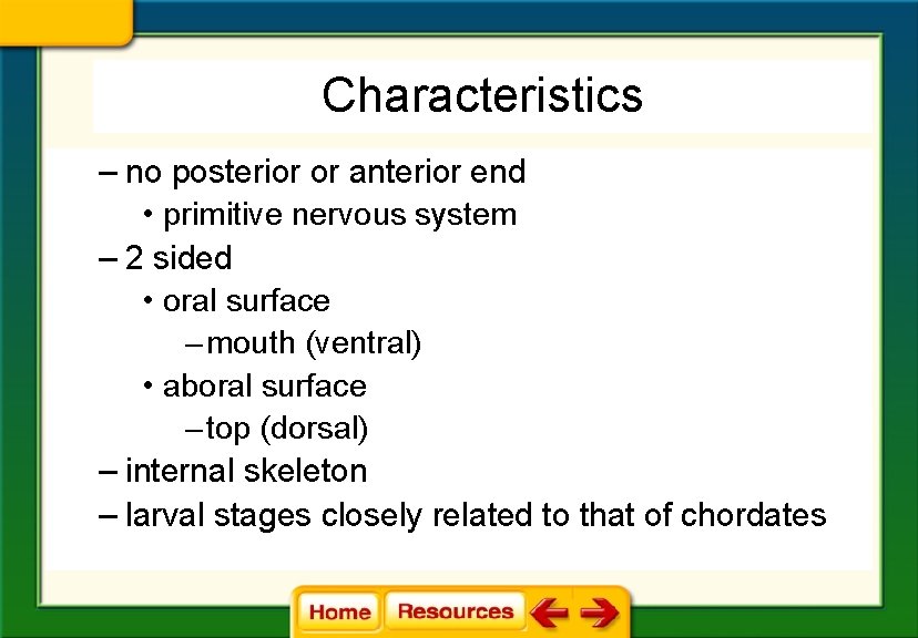 Characteristics – no posterior or anterior end • primitive nervous system – 2 sided